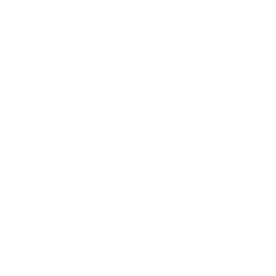 Image icon